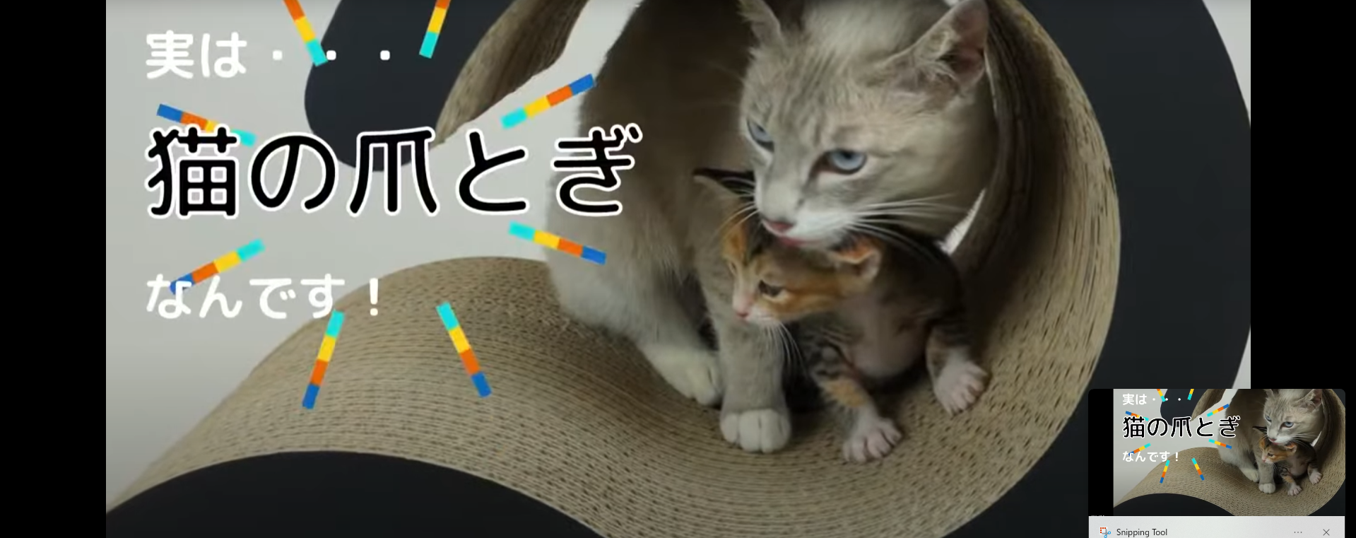 Cardboard_cat_tower_scratching