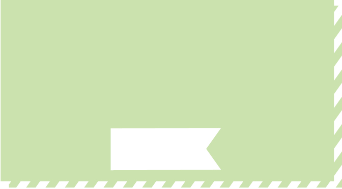 SNOOZE猫グッズの選び方ガイド 価格 お試し