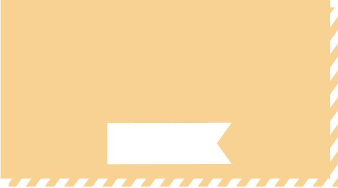 SNOOZE猫グッズの選び方ガイド 頭数 組み合わせ