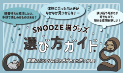 SNOOZE猫グッズの選び方ガイド
