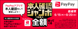 ペイペイ後払い
