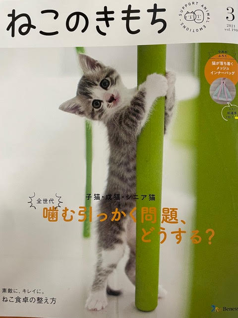 ねこのきもち2