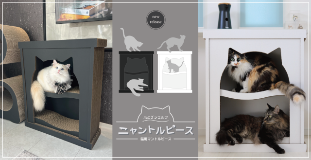ニャントル_ヘッダー