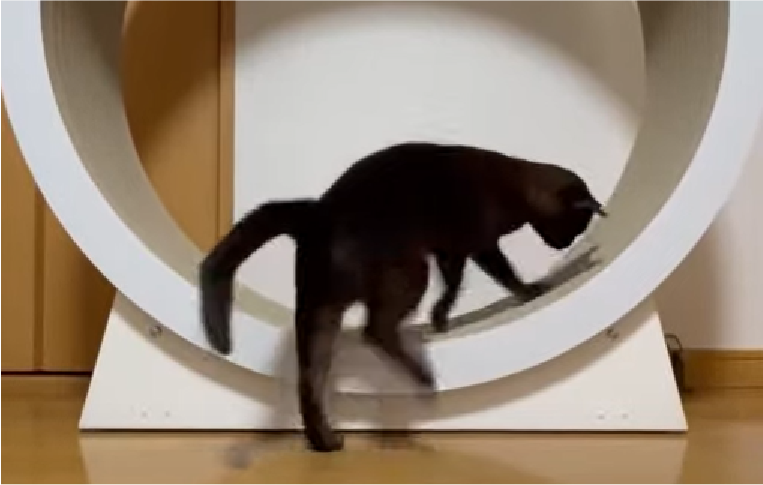 ファーストコンタクト