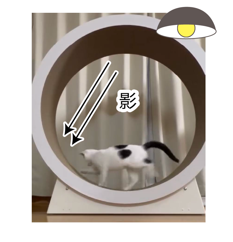 影追いかけっこ作戦