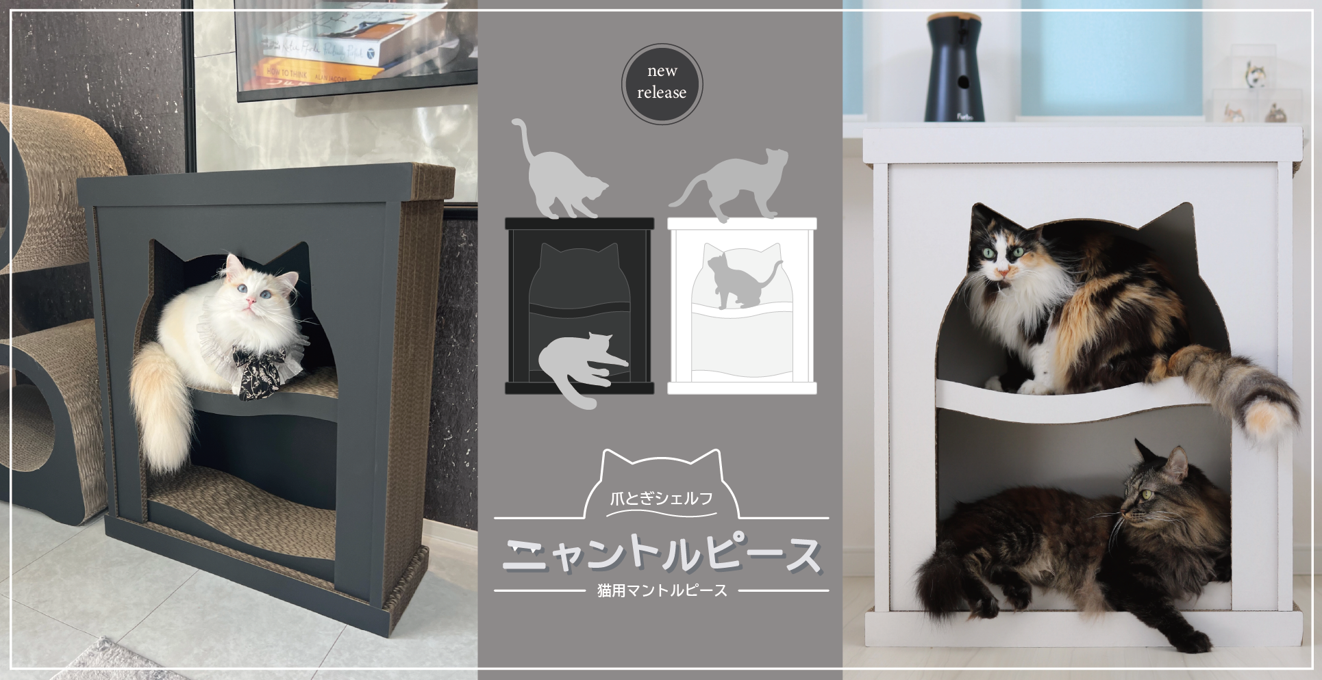 ニャントル_ヘッダー
