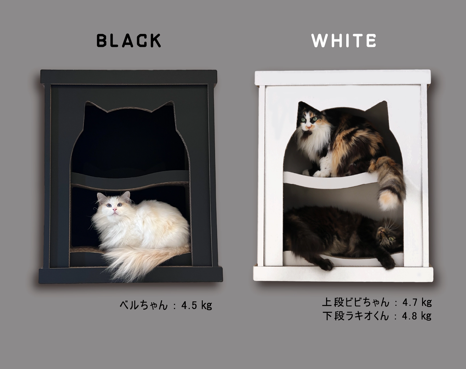 ニャントルピース ブラックとホワイトのカラー使用例