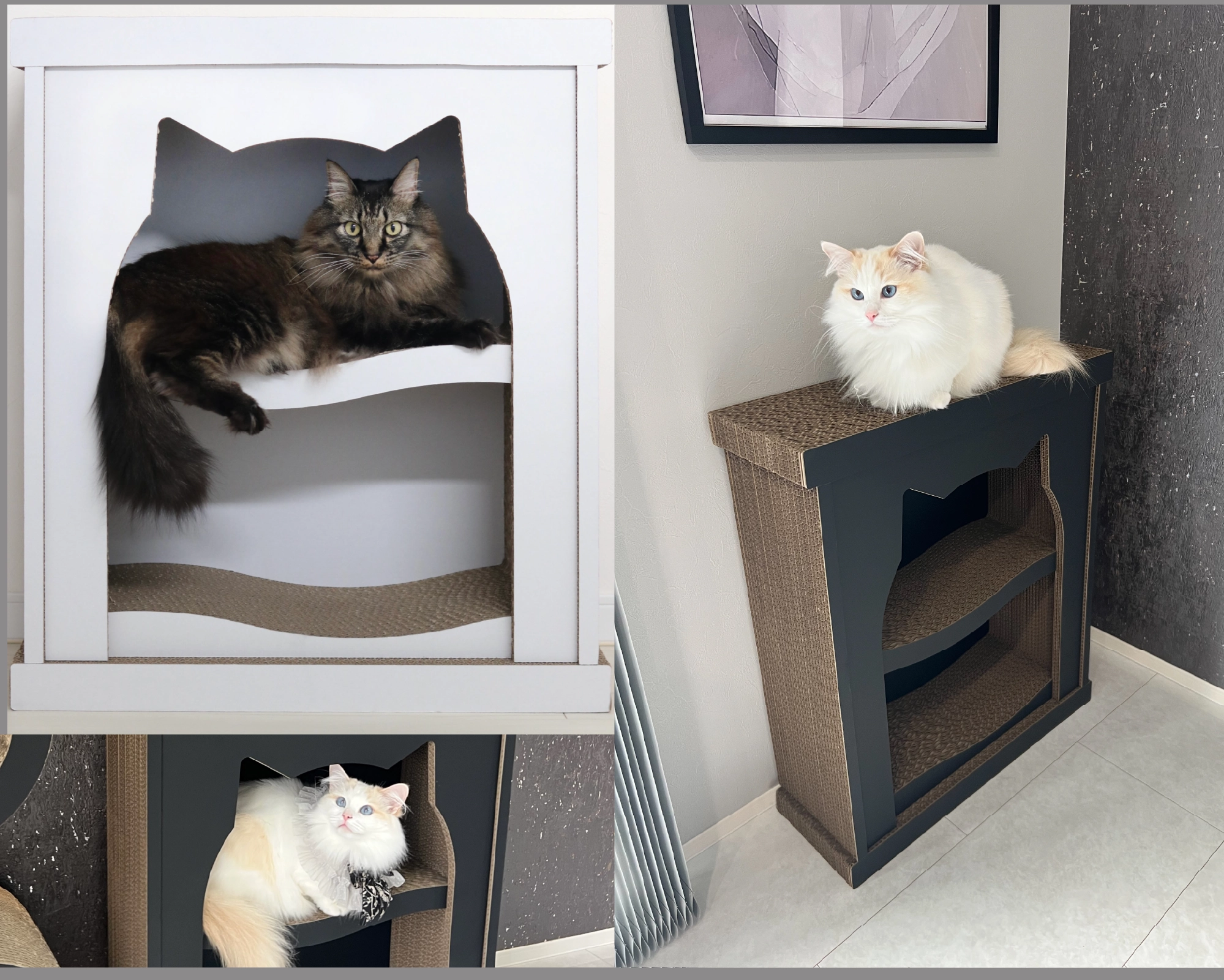 爪とぎシェルフ ニャントルピースの使用例