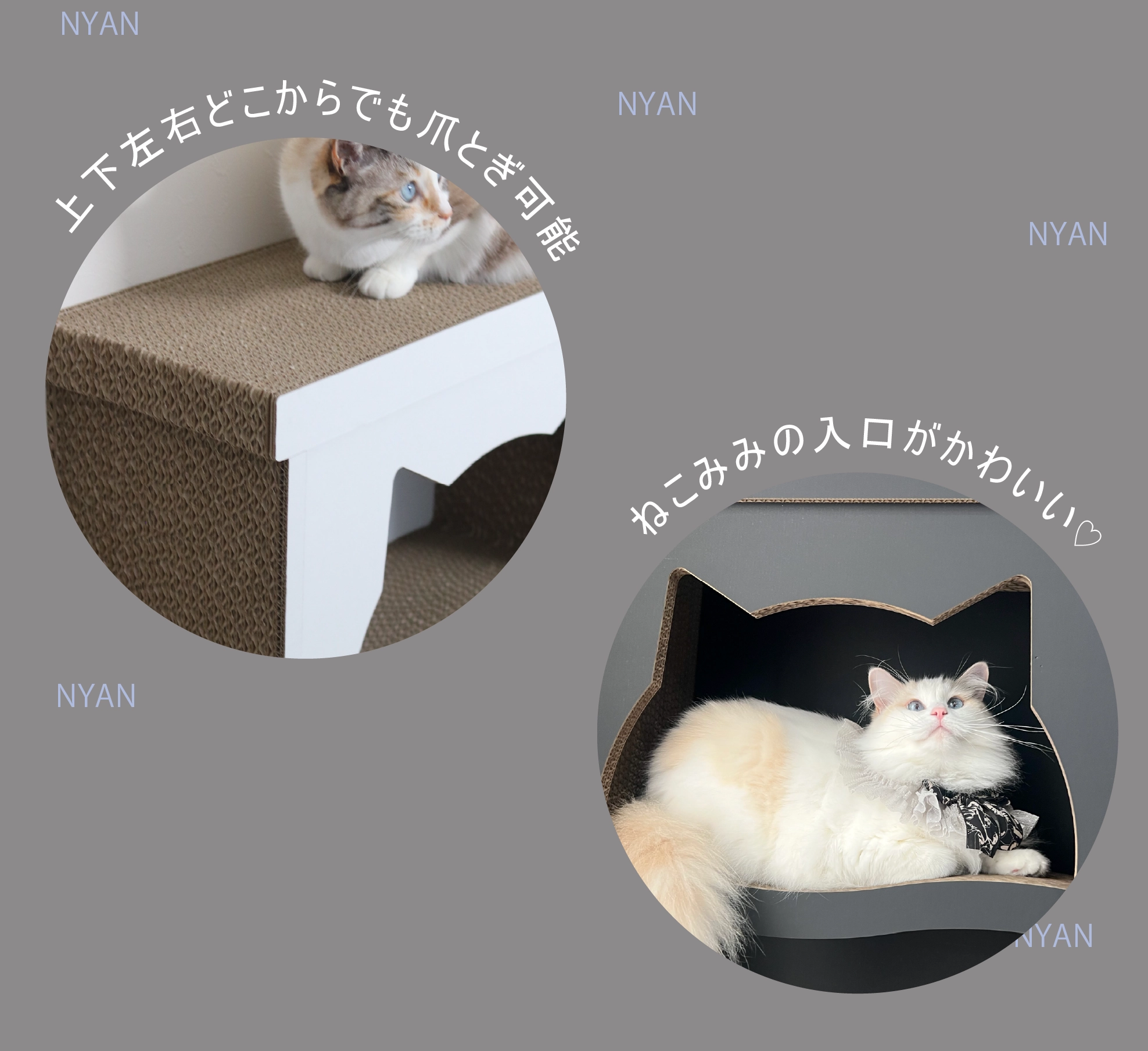 ねこみみの入り口がかわいいニャントルピース