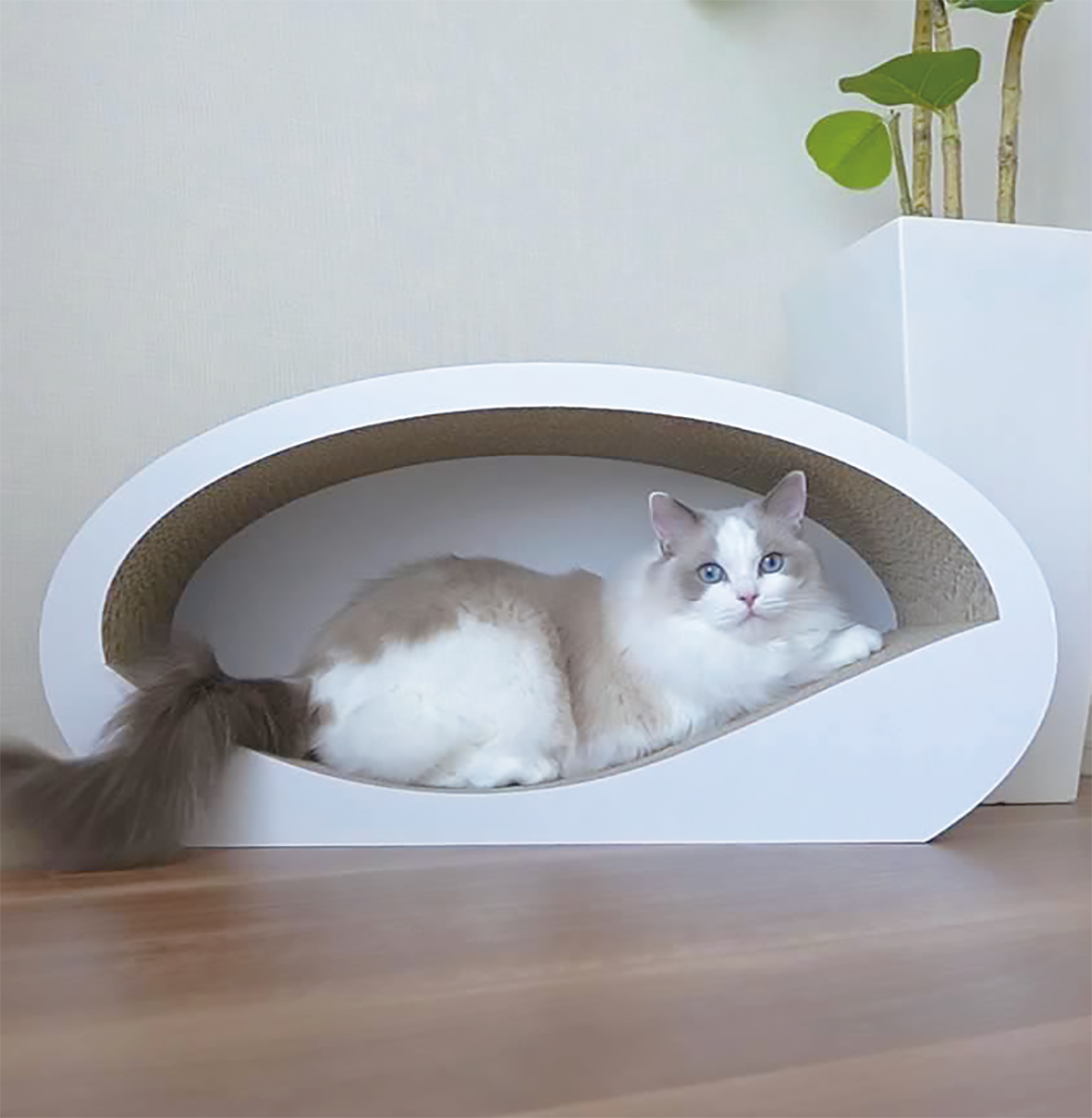 HOLEシリーズ